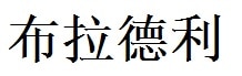 Bradley English Name in Chinese Characters